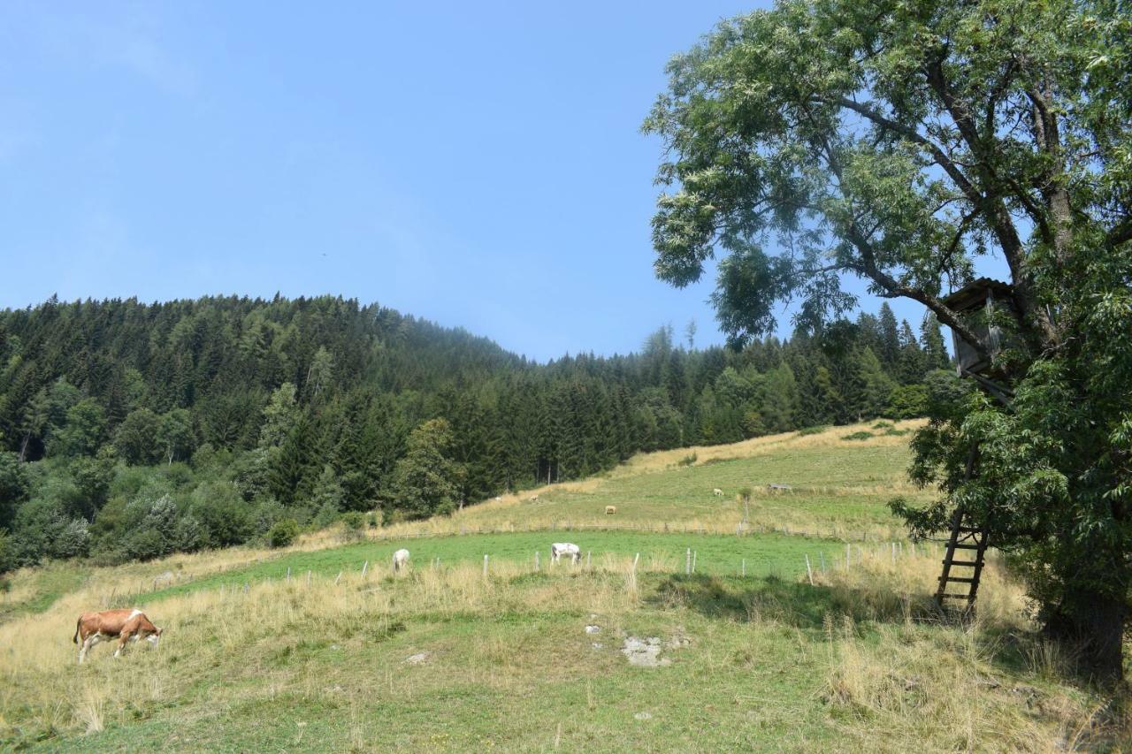 Ferienhaus Schleinzer Prebl Luaran gambar